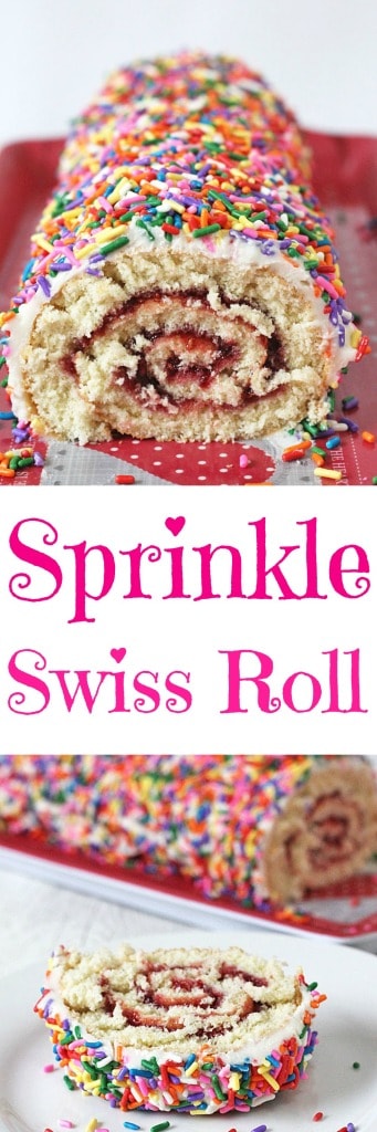 Sprinkle-Swiss-Roll_Pin