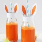 Packed full of Vitamins A and C, this Carrot & Orange Juice makes a really nutritious drink for kids and will help to balance out all that chocolate they're sure to eat this Easter!