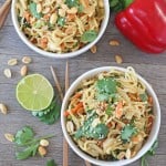 A super quick, easy and healthy family meal ready in just 5 minutes. You won't believe just how simple this Satay Vegetable Noodle recipe is to whip up. Its also vegetarian and vegan friendly too!