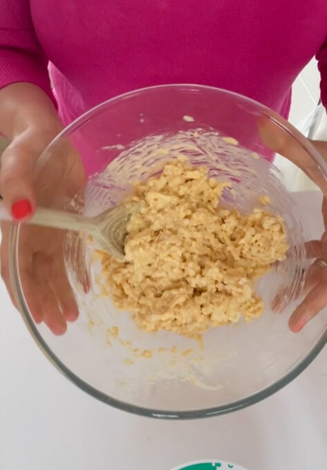 Ingredients all mixed together.