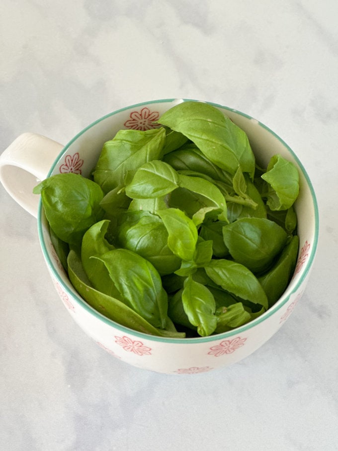 Fresh basil leaves in a tea cup.