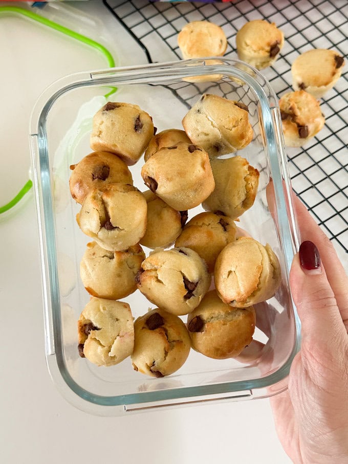 Mini chocolate muffins served in a lunchbox.