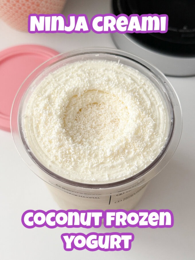 A pot of coconut frozen yogurt garnished with a sprinkling ofdesiccated coconut.