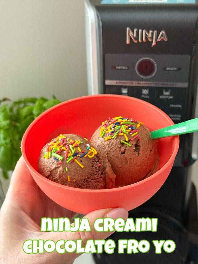 Two scoops of chocolate fro yo in a red plastic bowl with a green spoon and decorated with multicoloured sprinkles.
