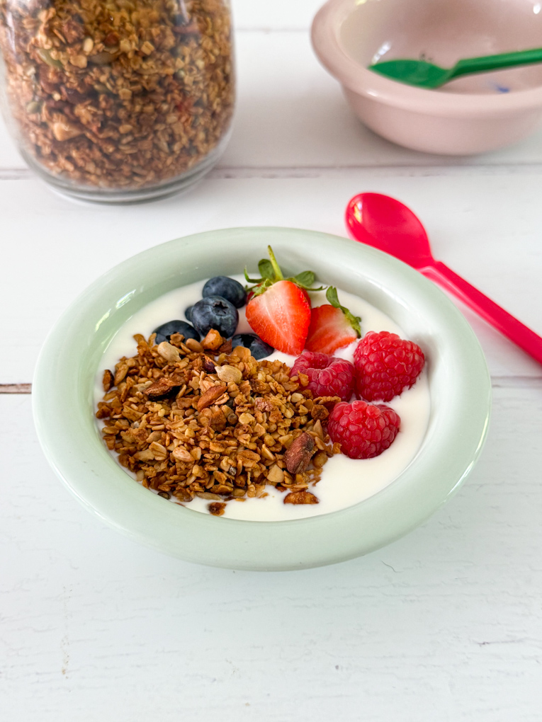 Healthy homemade granola served in a breakfast bowl with fresh fruit and greek yogurt.